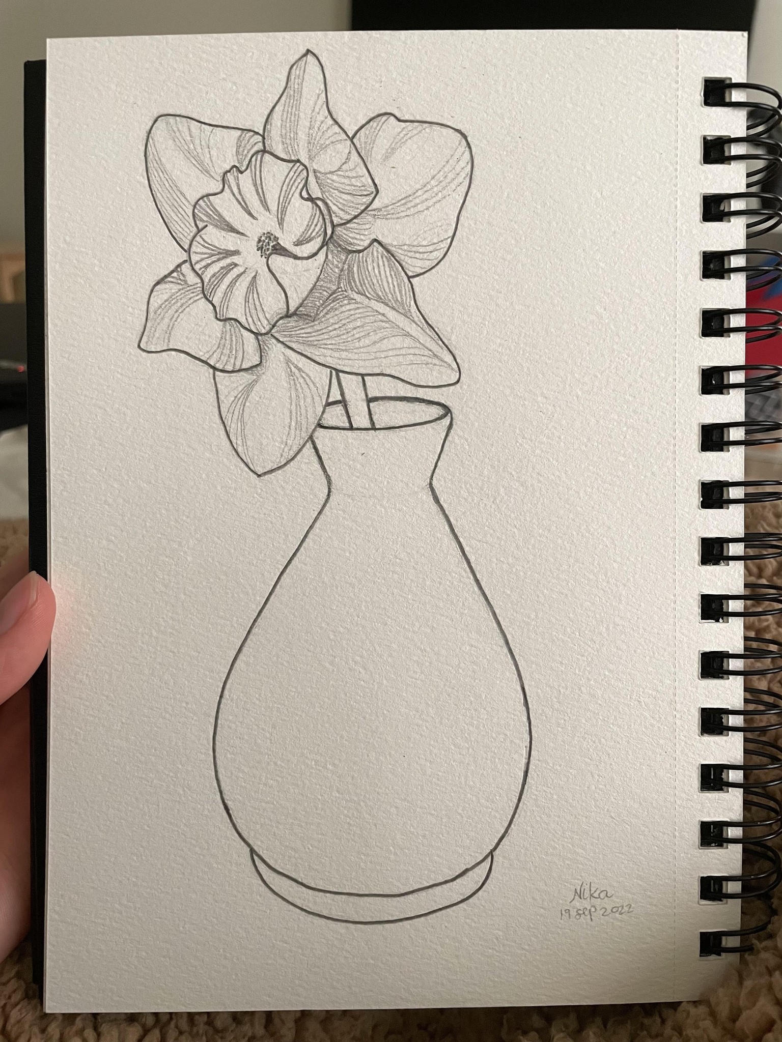 Scale & Daffodil Line Drawings - image 3 - student project