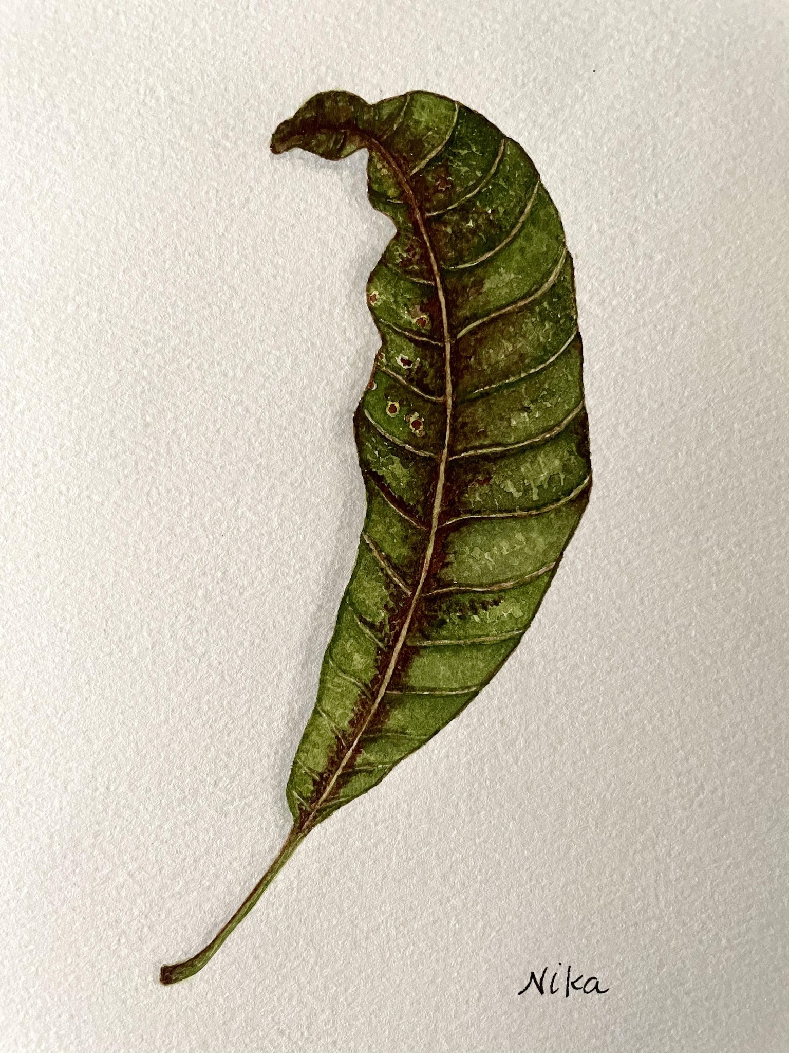 Realistic leaf - image 1 - student project