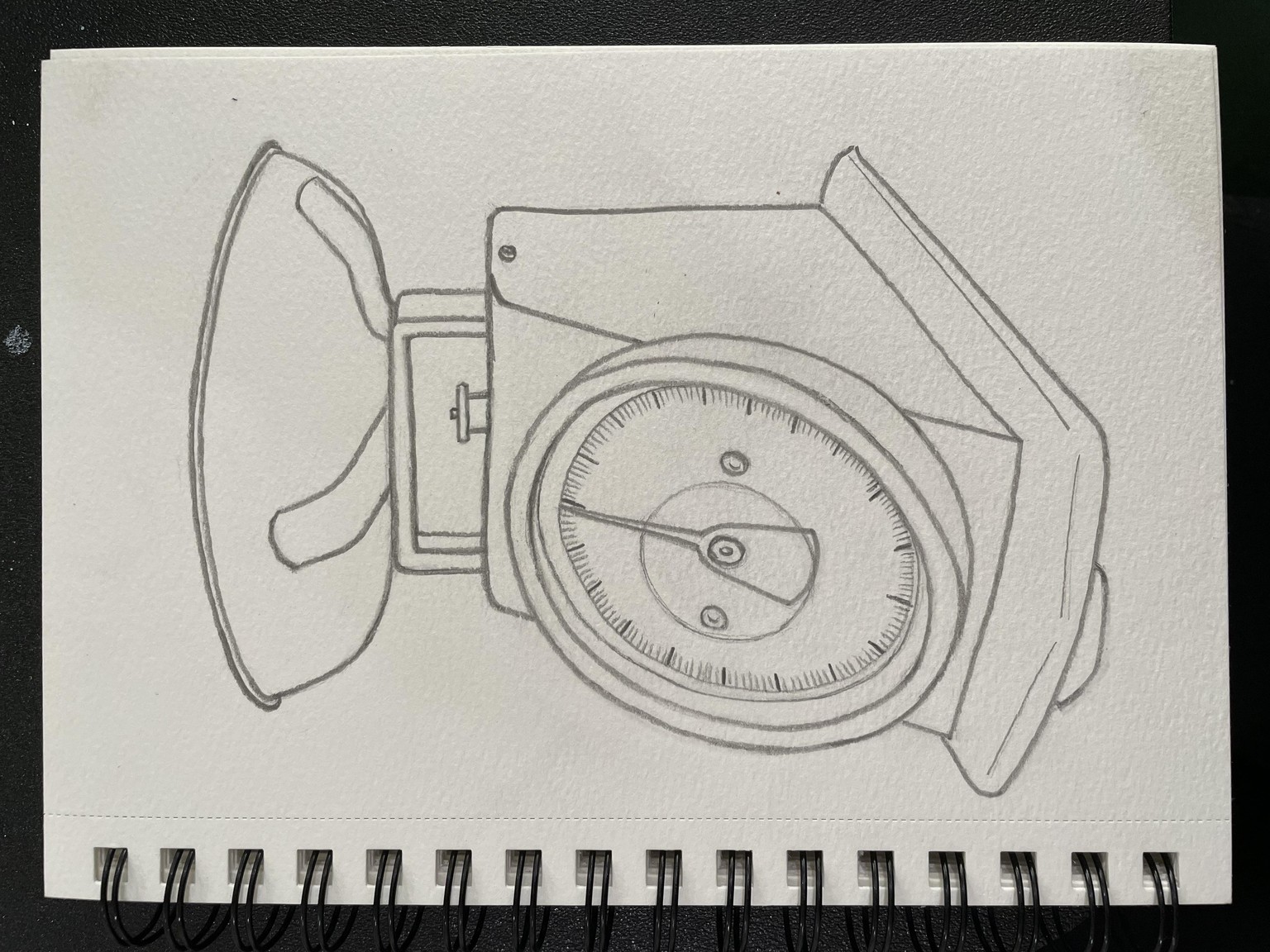 Scale & Daffodil Line Drawings - image 2 - student project