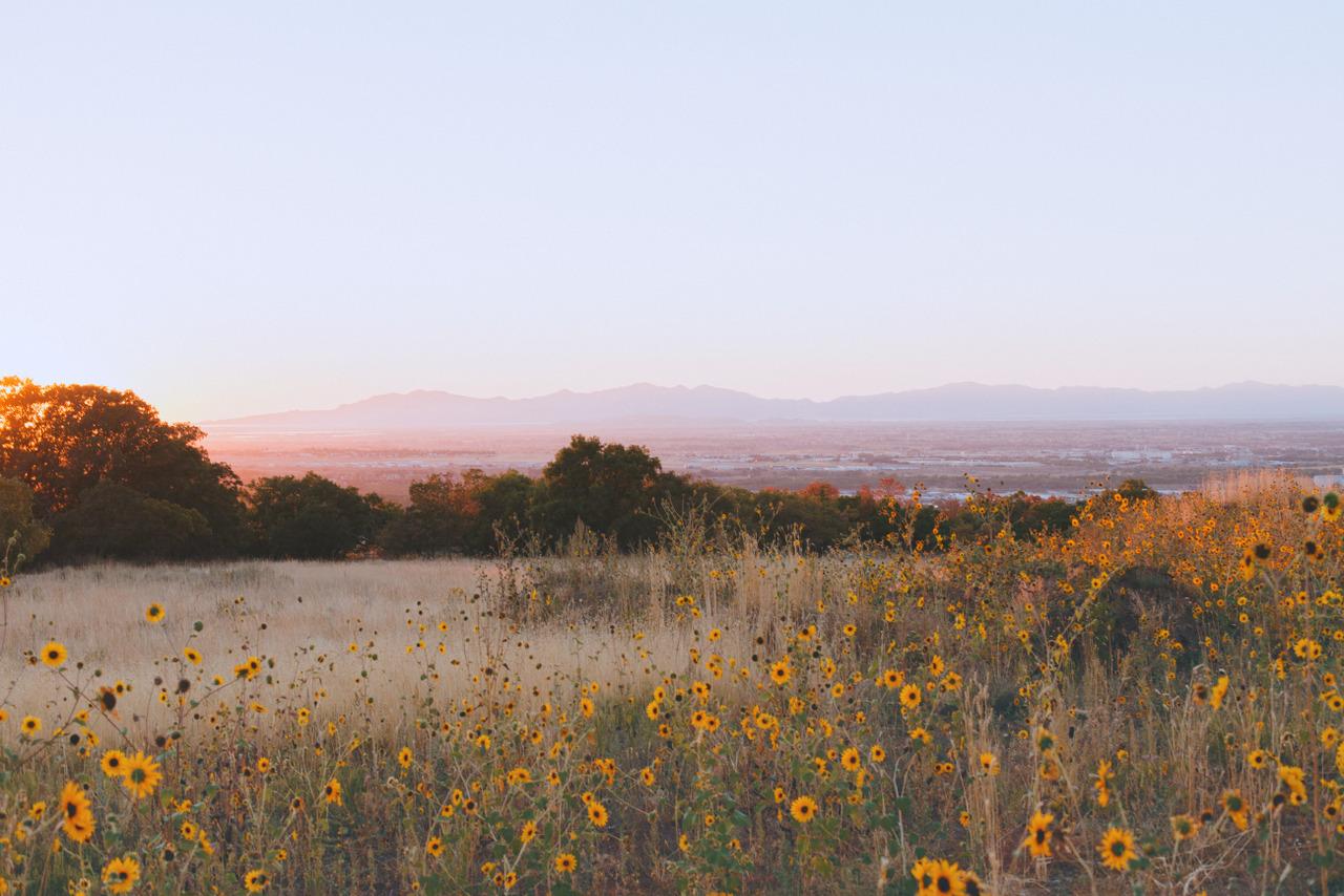 Bountiful Sunset - image 2 - student project