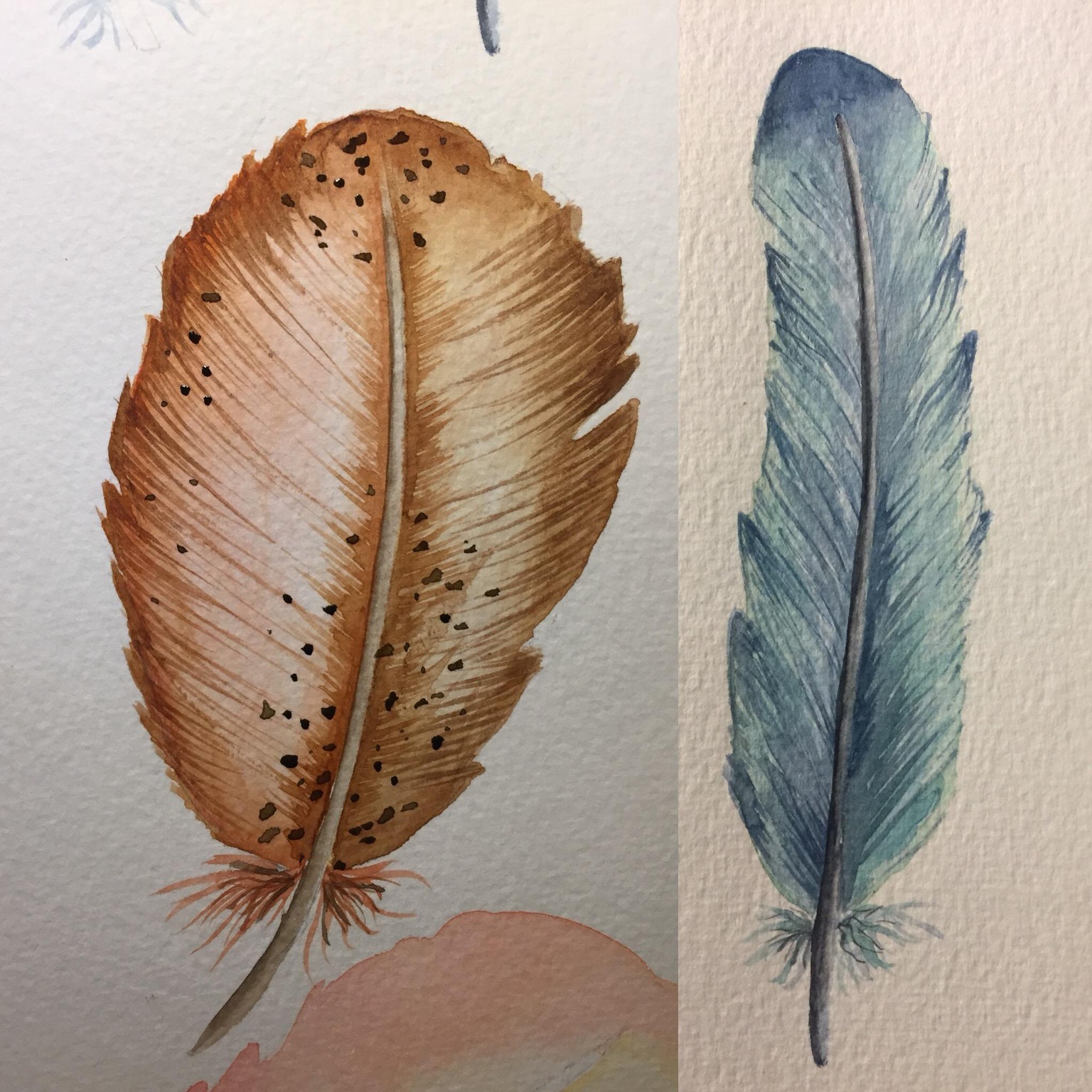 Feathers flying - image 1 - student project