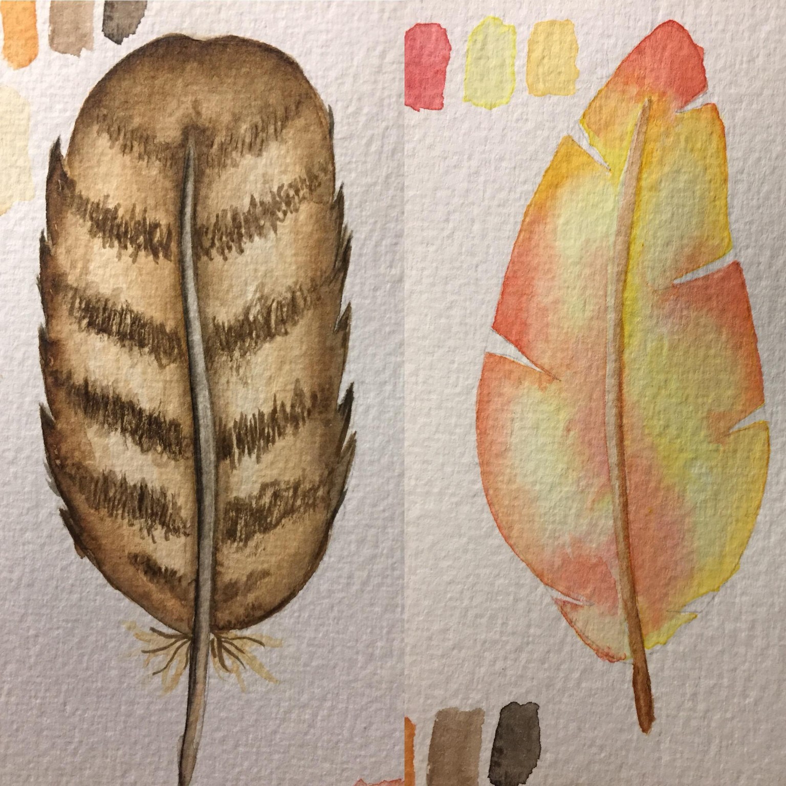 Feathers flying - image 2 - student project