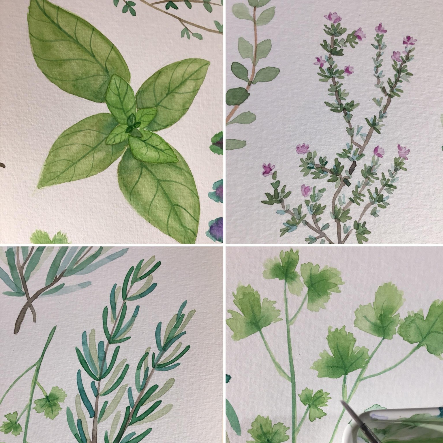 Delicius Aromatics - image 1 - student project