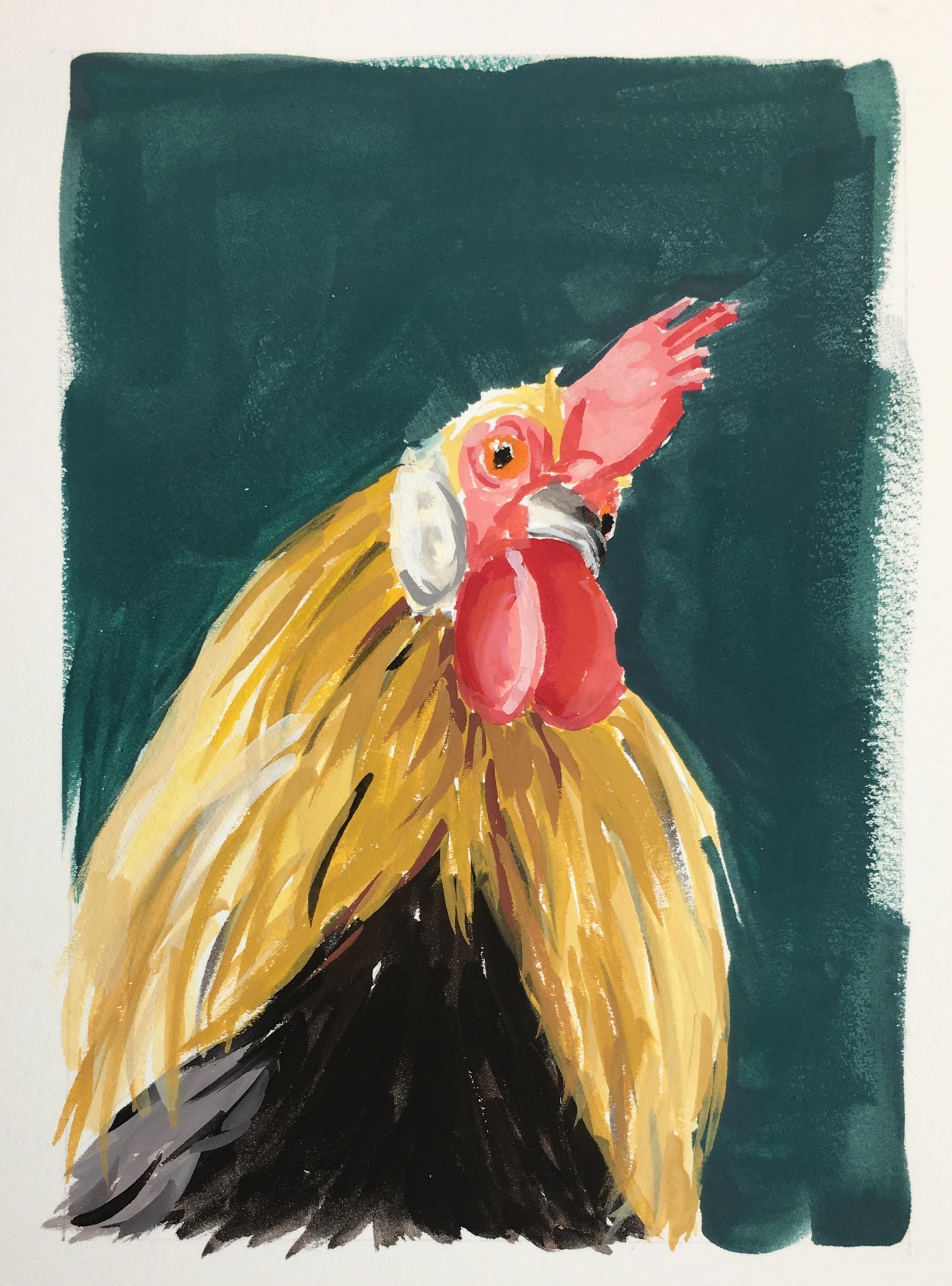 George the Chicken! - image 1 - student project