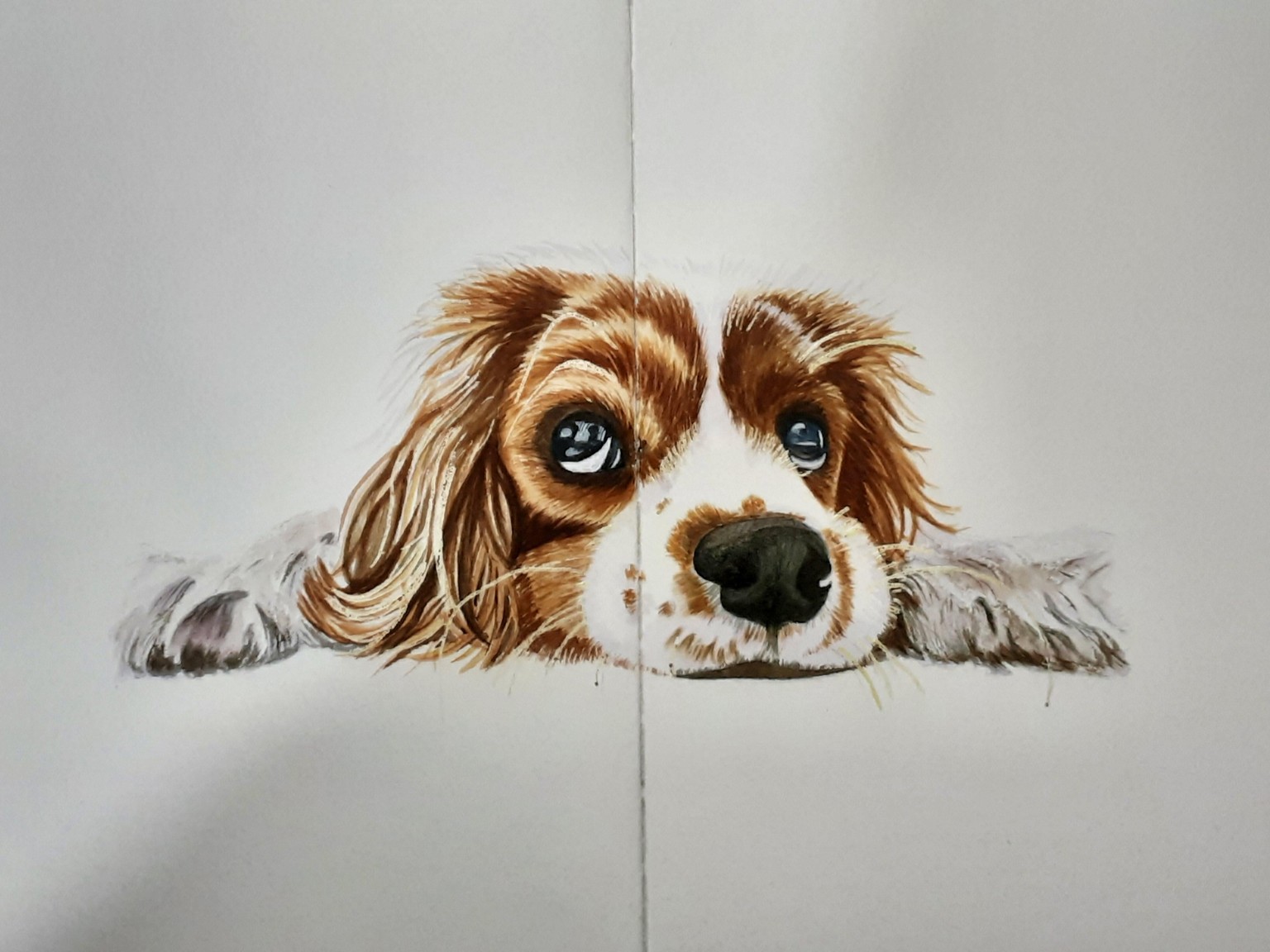 Cavalier King Charles spaniel in watercolour and coloured pencil. - image 2 - student project