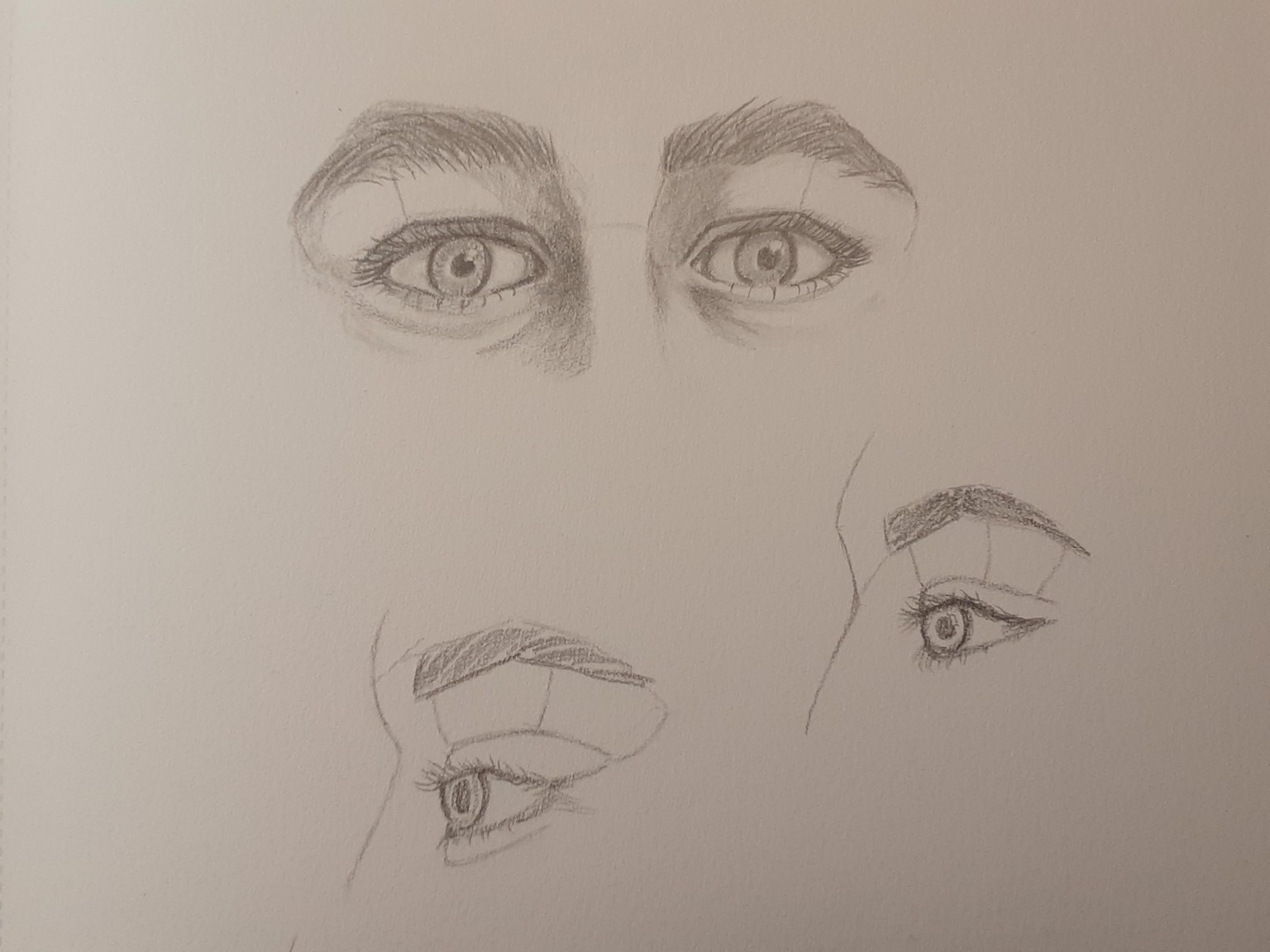 Eyes, eyes and more eyes. - image 1 - student project