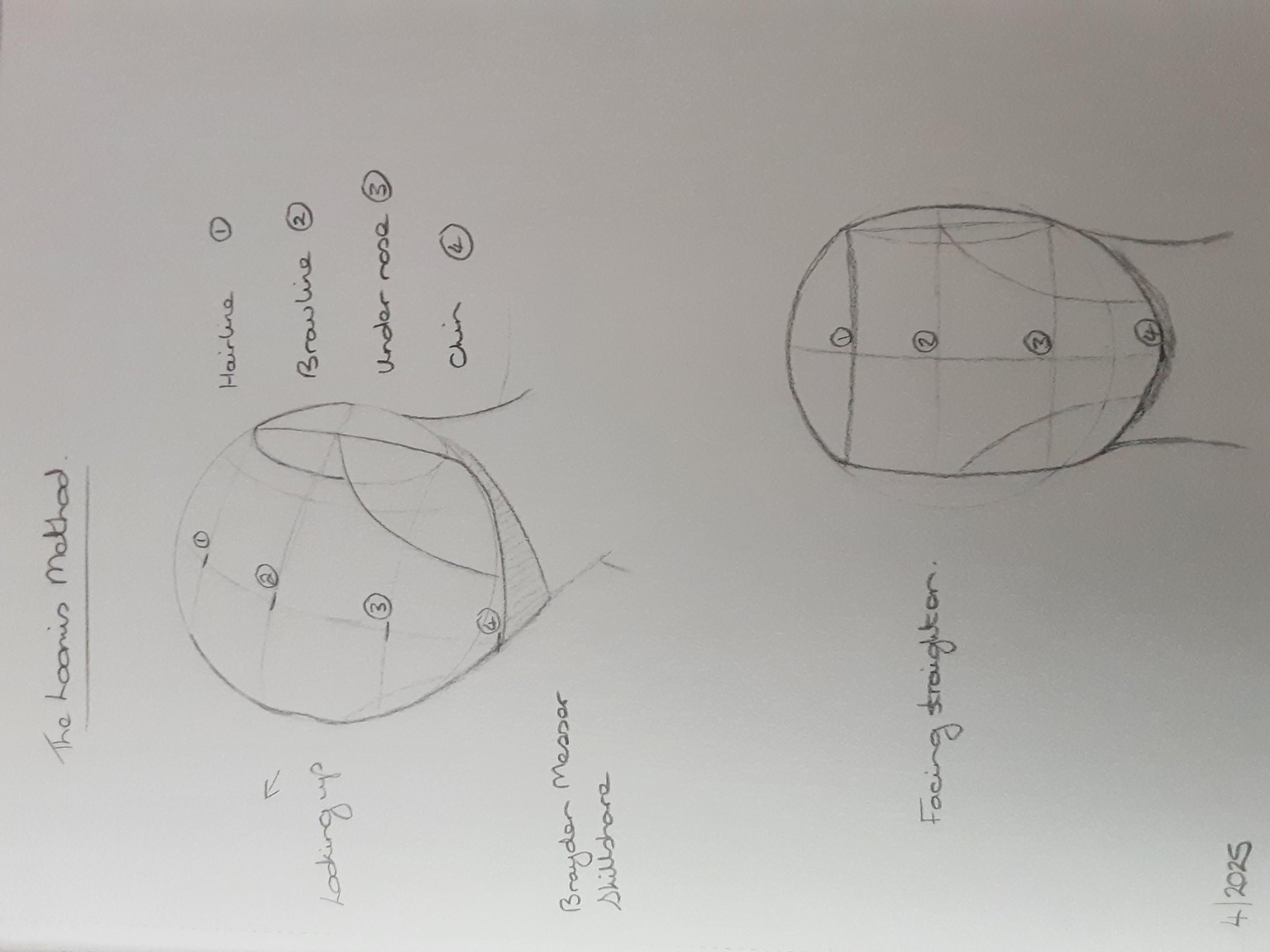 The Loomis head - image 1 - student project