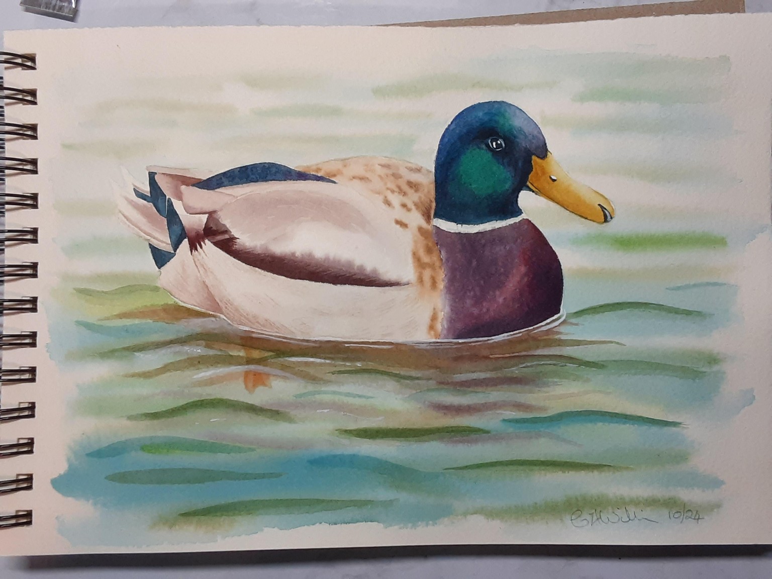 Mallard duck in watercolour - image 1 - student project