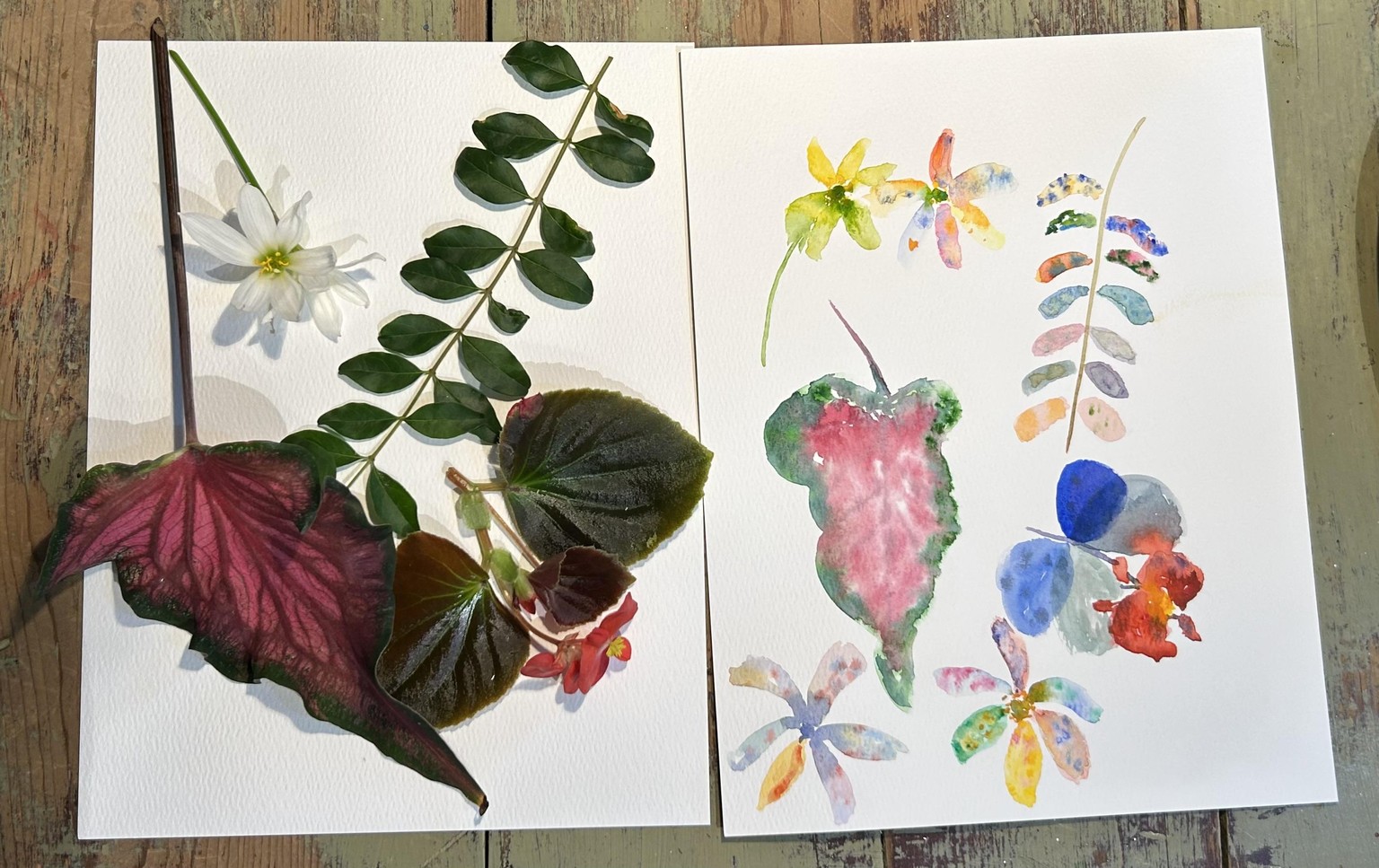 Warm-up exercise and final project - image 2 - student project