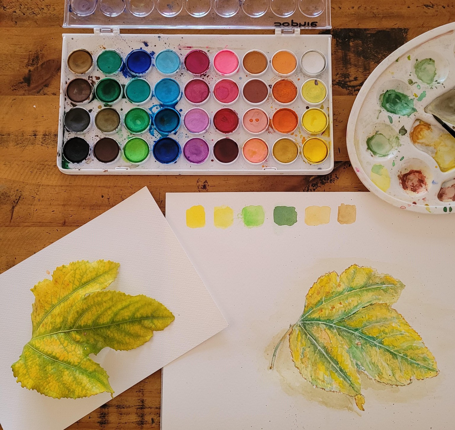 Passionfruit leaf - image 1 - student project
