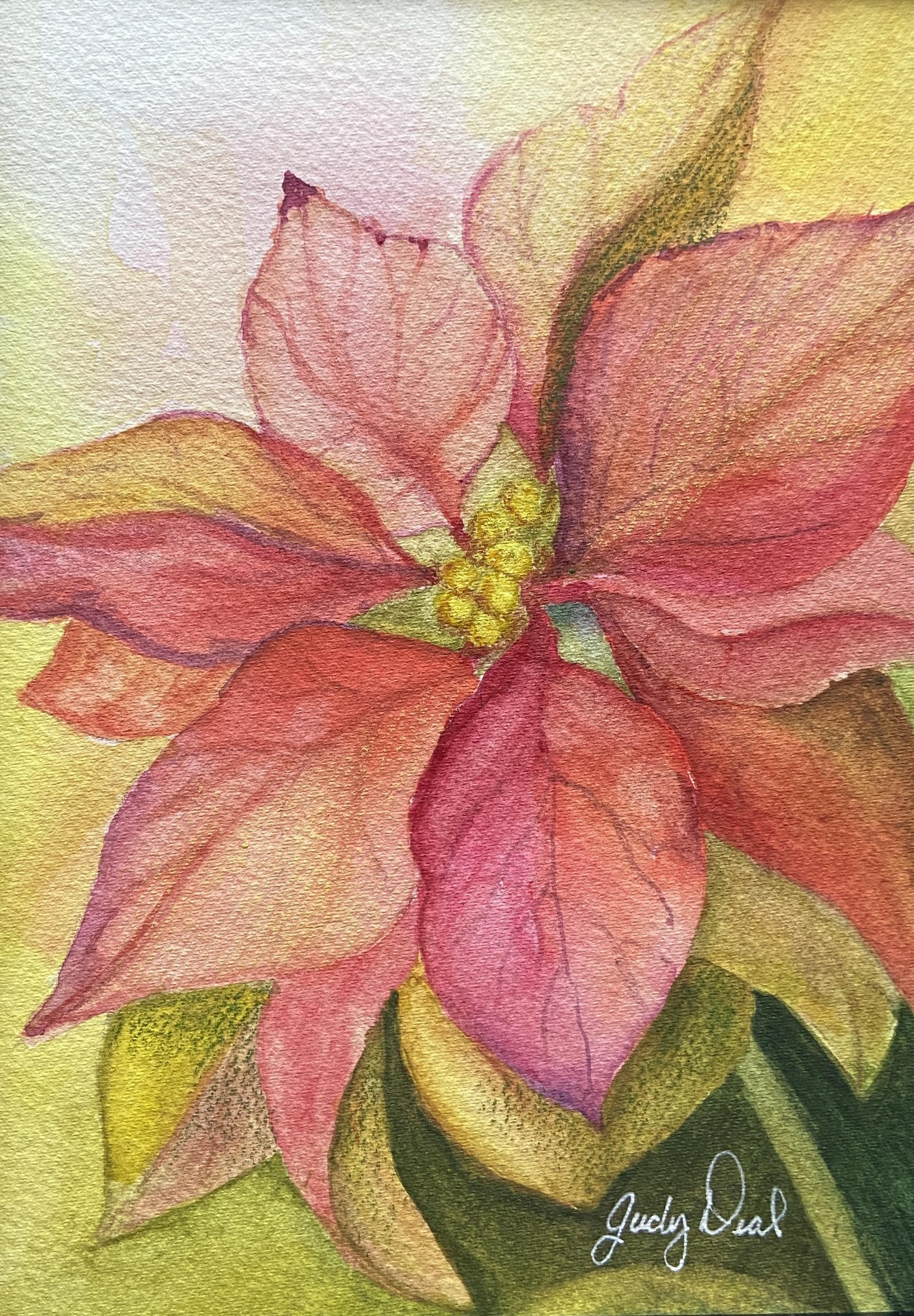 Poinsettia - image 1 - student project