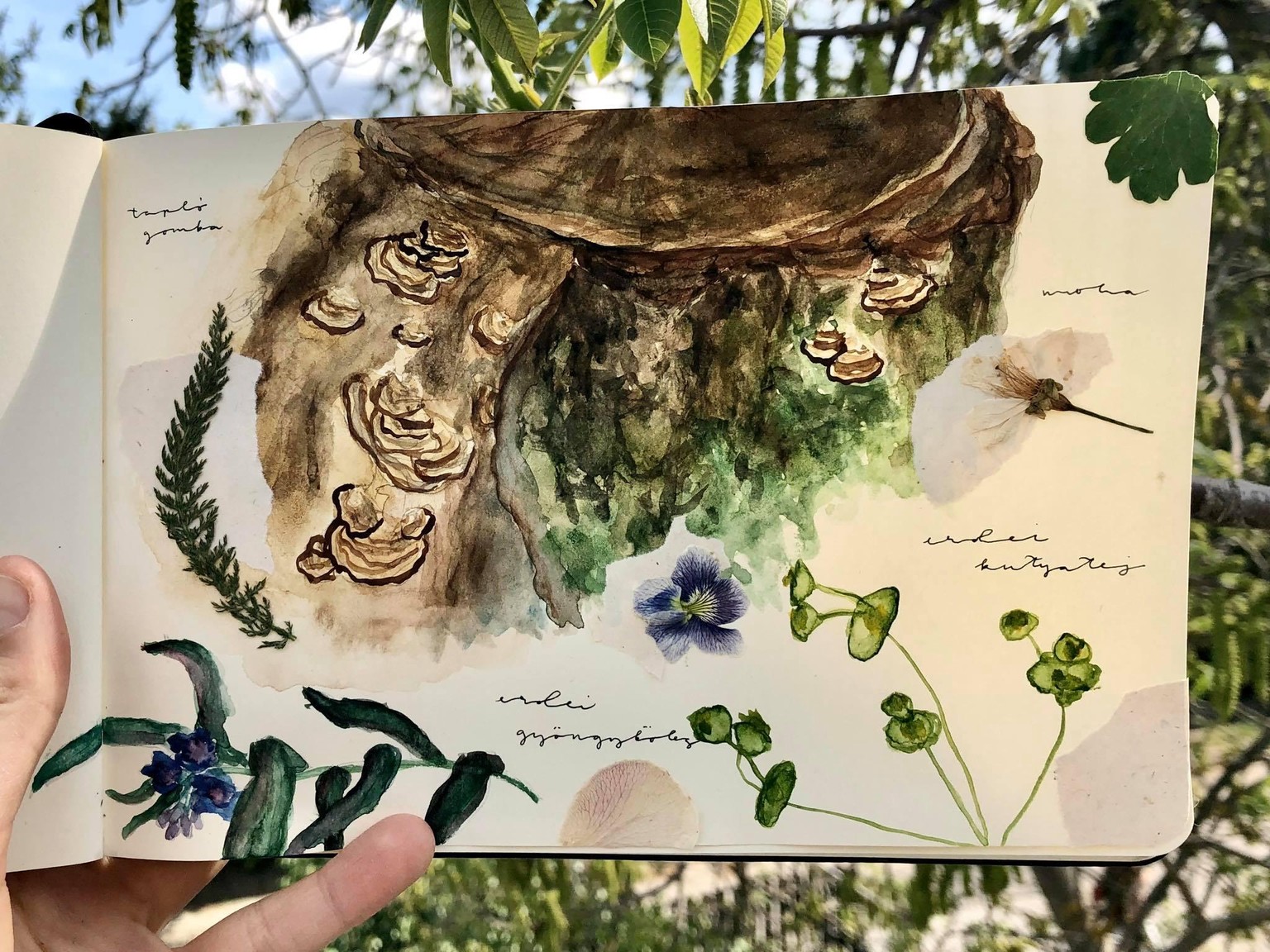 Nature Journal Spread - image 1 - student project