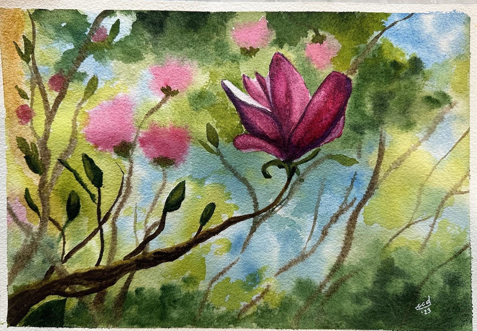 Blossom to Bloom Spring Paintings - image 13 - student project