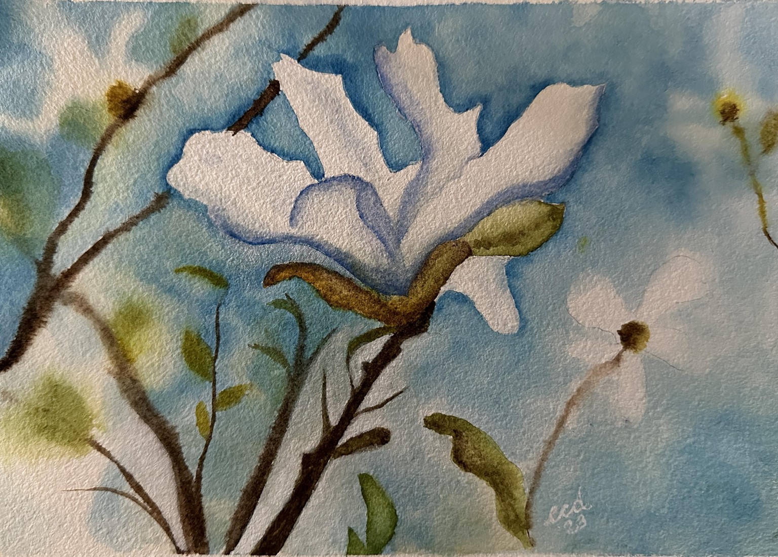 Blossom to Bloom Spring Paintings - image 14 - student project