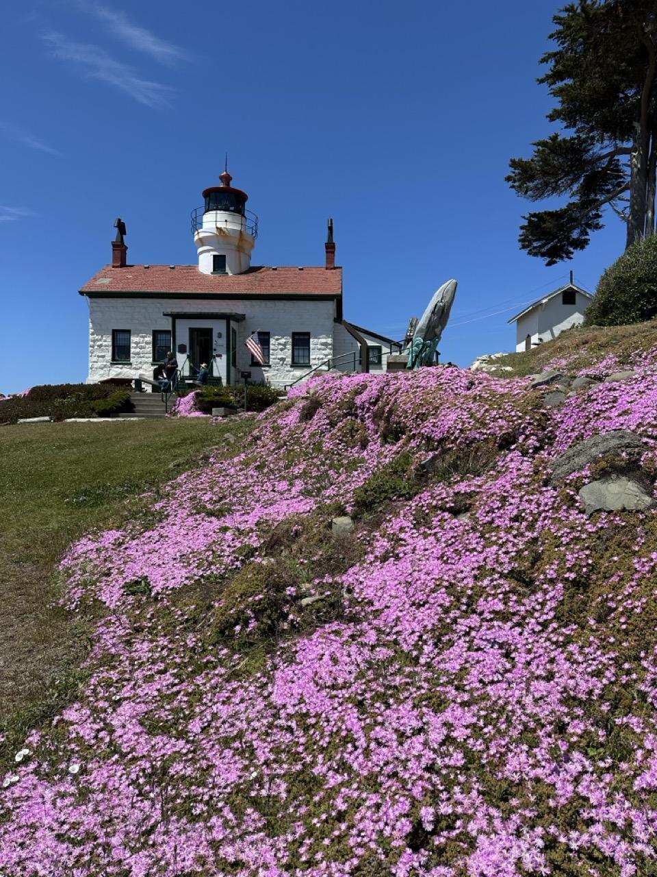 Plein Air for Fun: Battery Point Lighthouse - image 2 - student project
