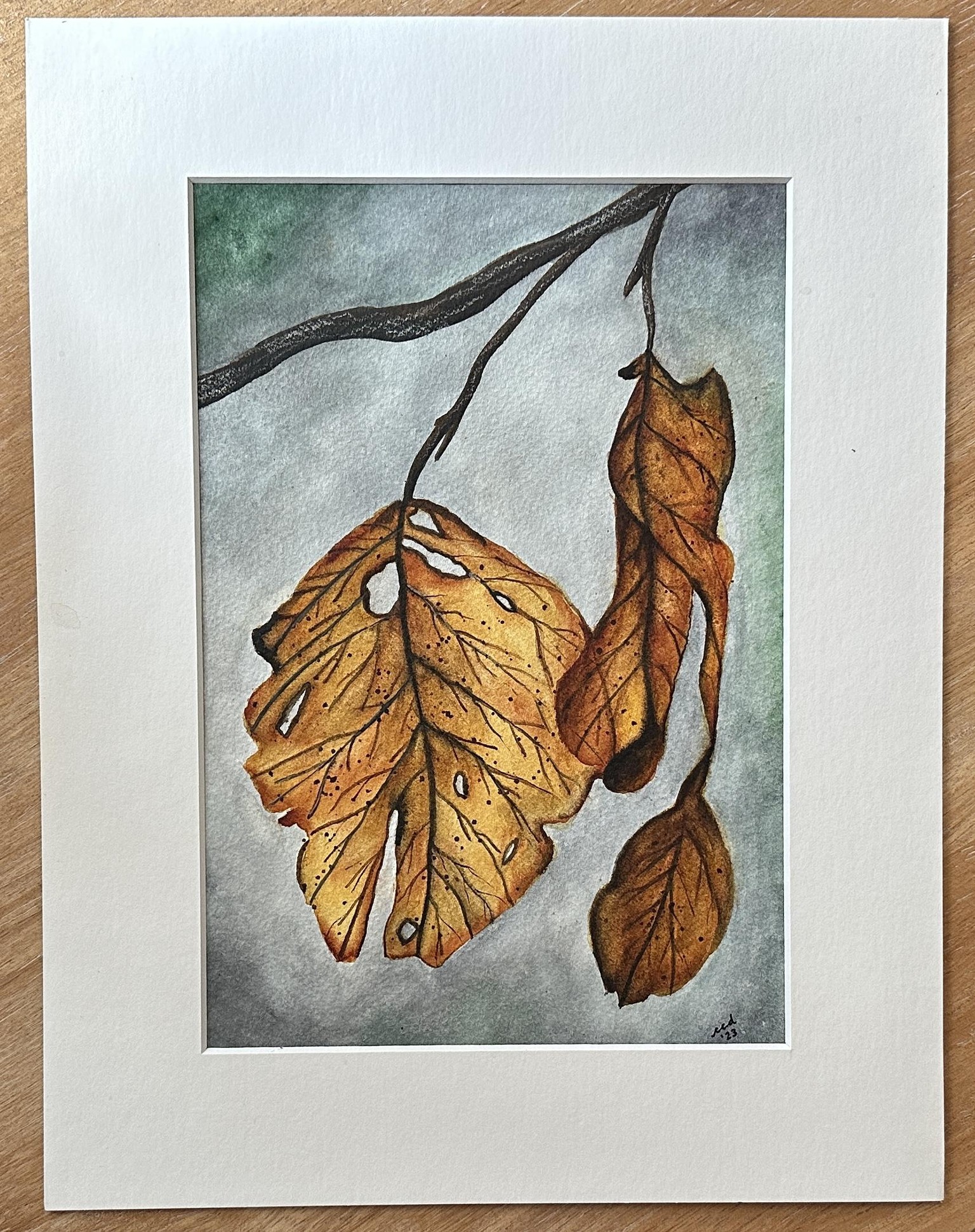 31 Days of Autumn Landscapes - image 1 - student project