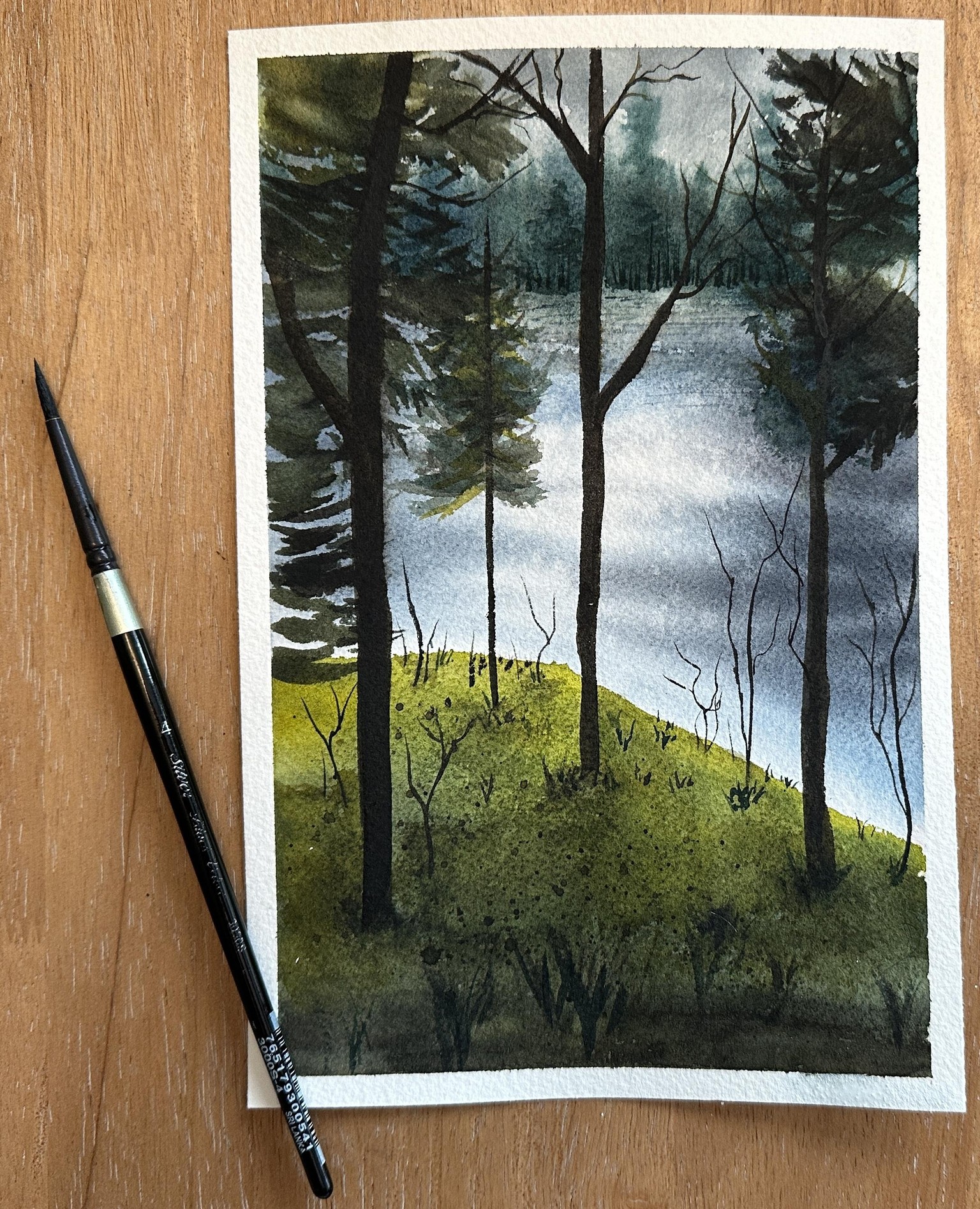 Into the Woods - 20 Days of Forest Landscapes - image 6 - student project
