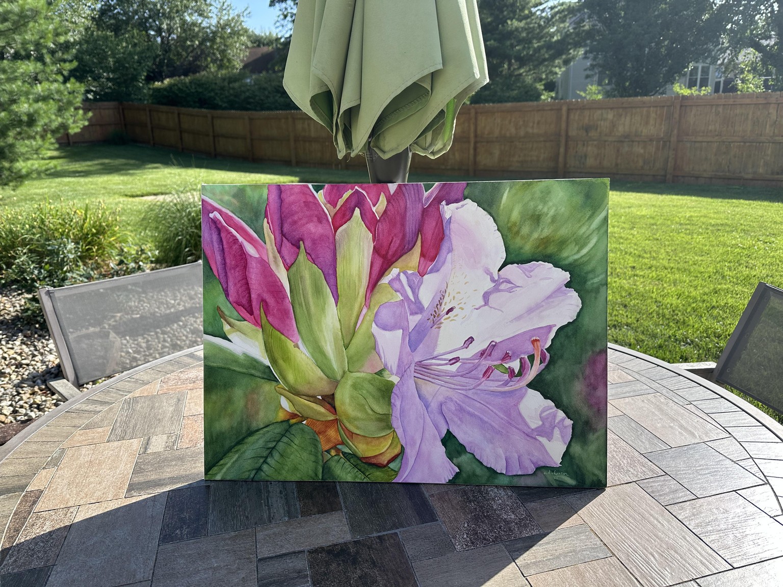 Garden Gems: Rhododendron - image 2 - student project