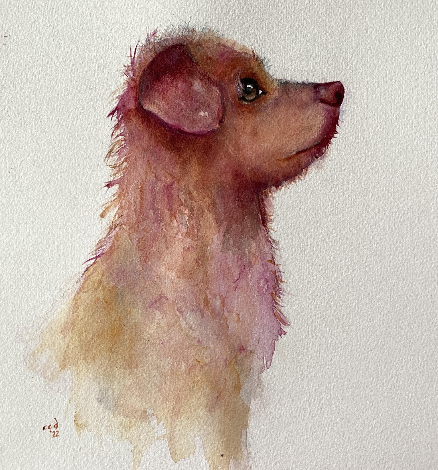 Marco (Take 2) - image 2 - student project