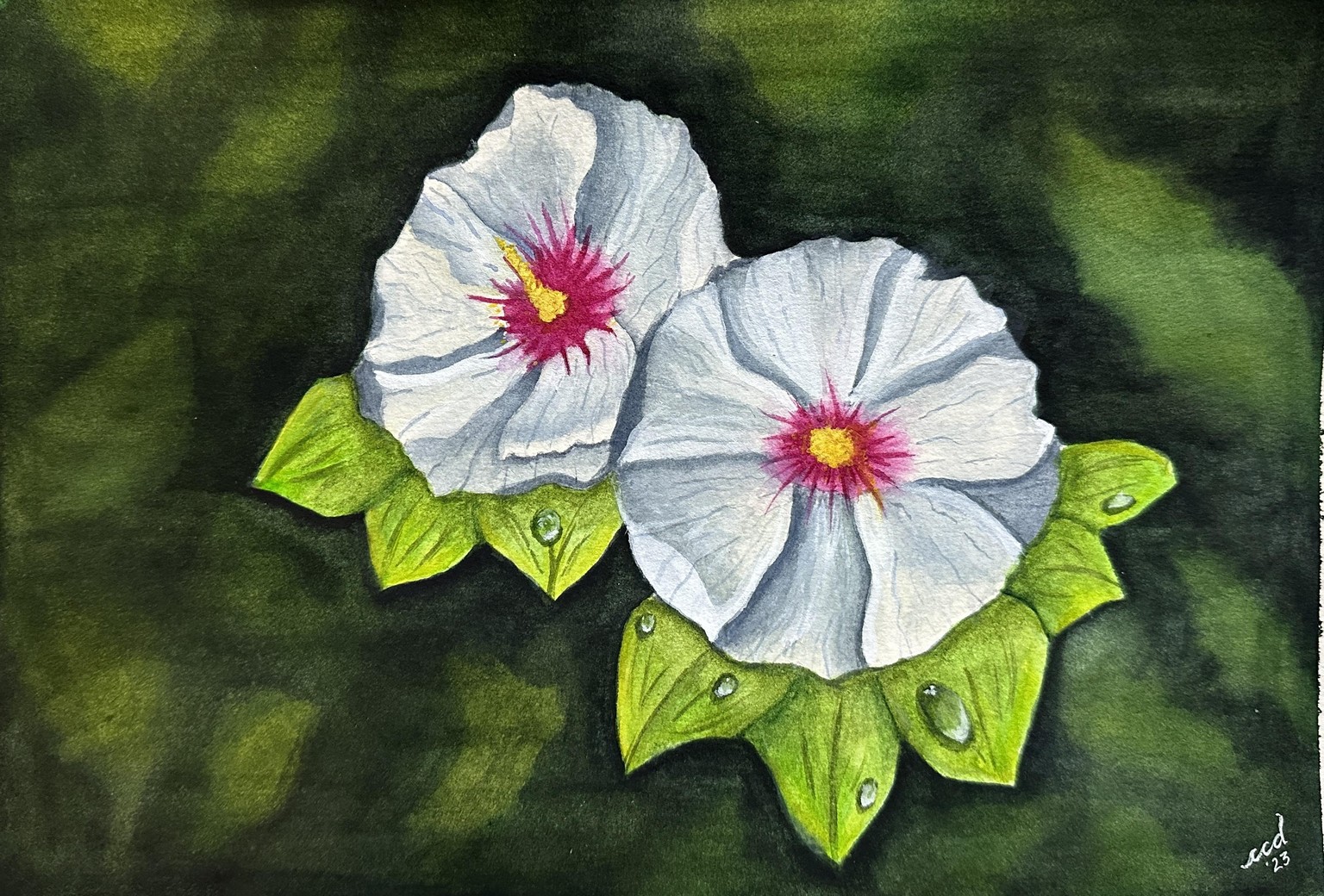 Blossom to Bloom Spring Paintings - image 1 - student project