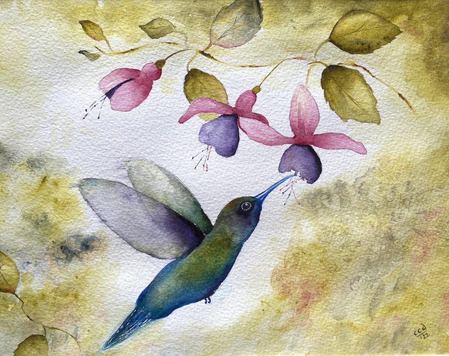 Hungry Hummingbird - image 1 - student project