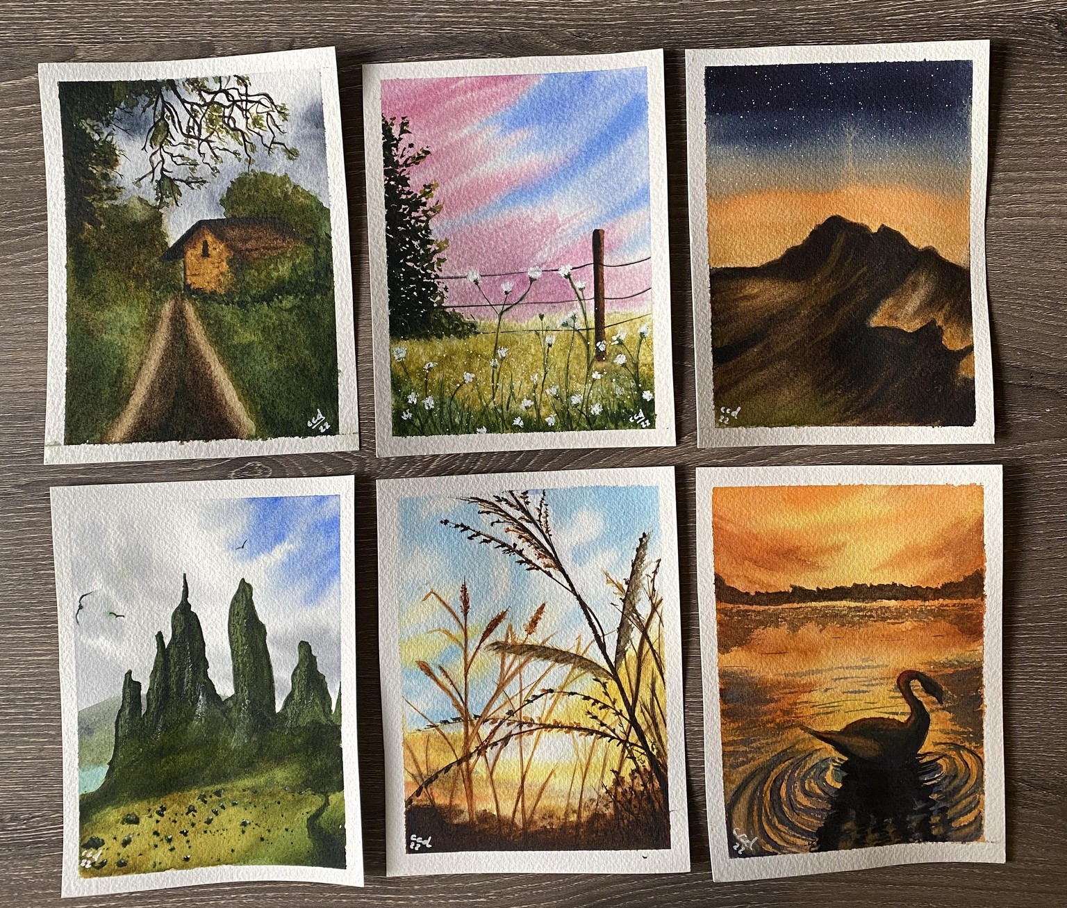 100 Days of Watercolour Paradise - image 17 - student project