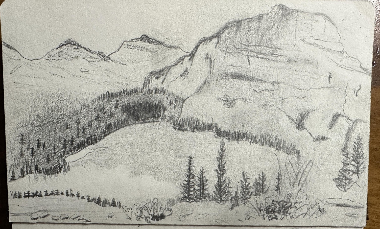 Learn to Paint from a Reference Image - image 4 - student project
