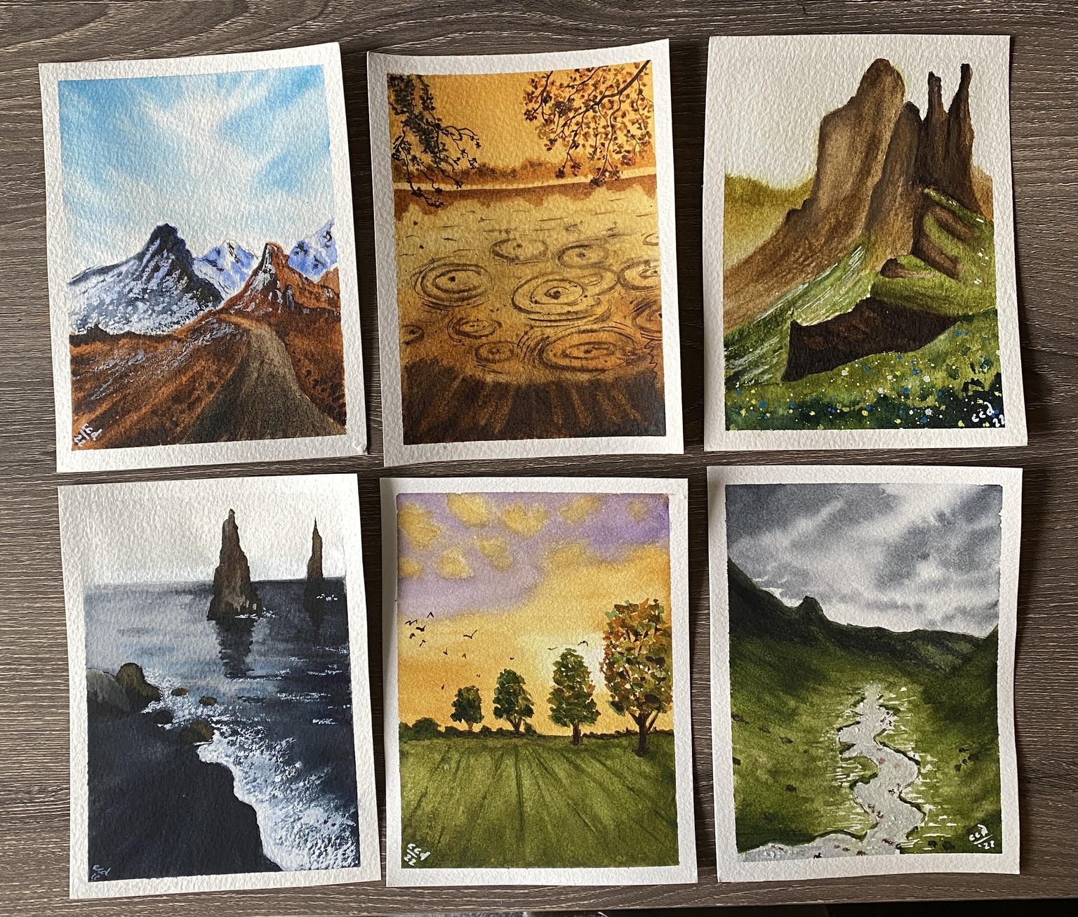 100 Days of Watercolour Paradise - image 16 - student project
