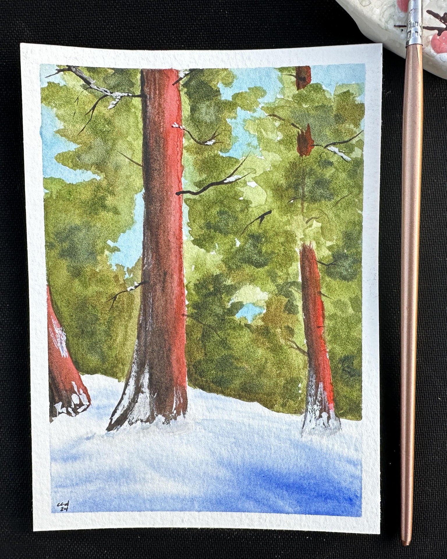 Winter Landscapes with Zaneena - image 2 - student project