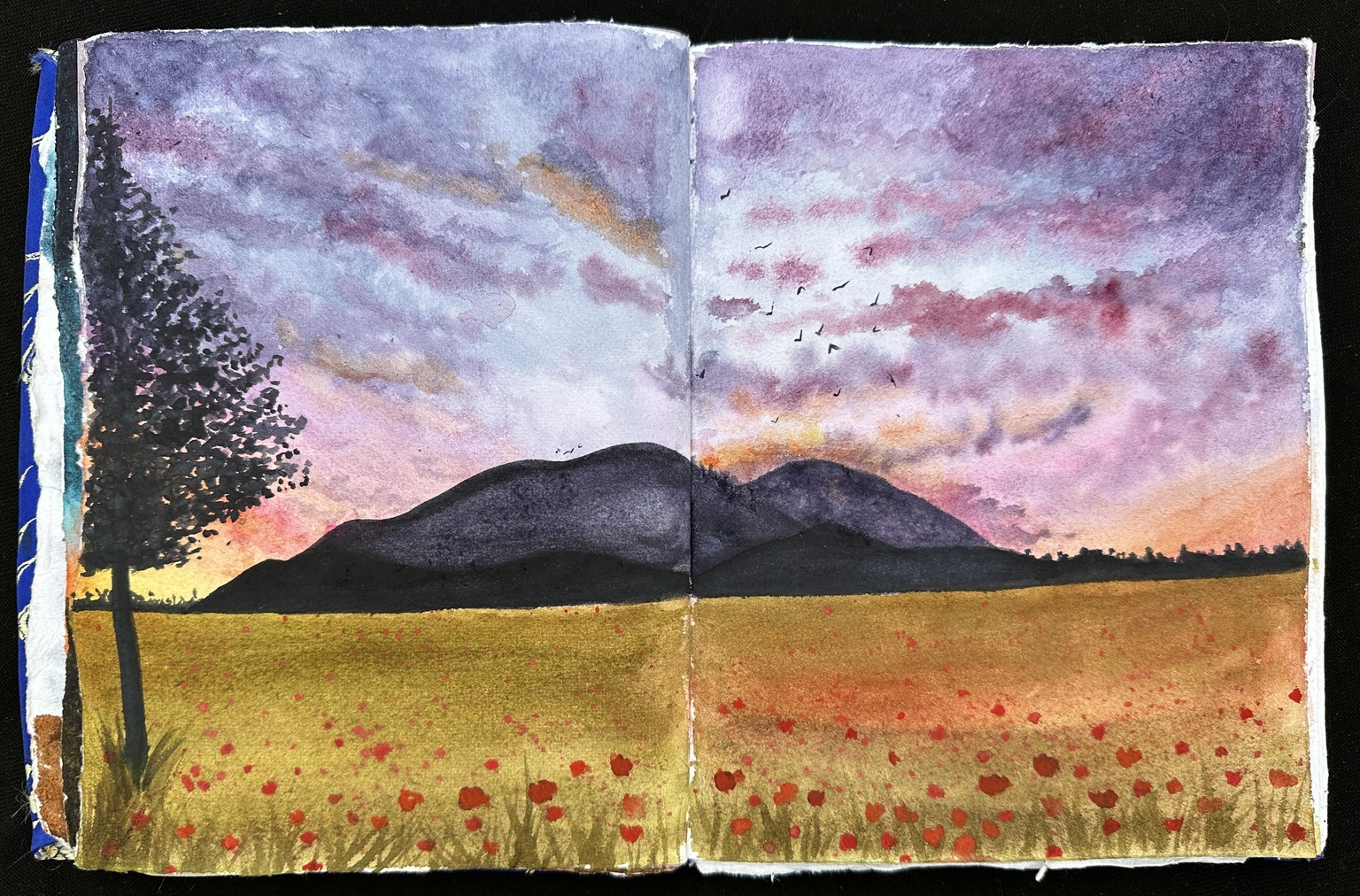 Build a Sketchbook Practice - image 3 - student project