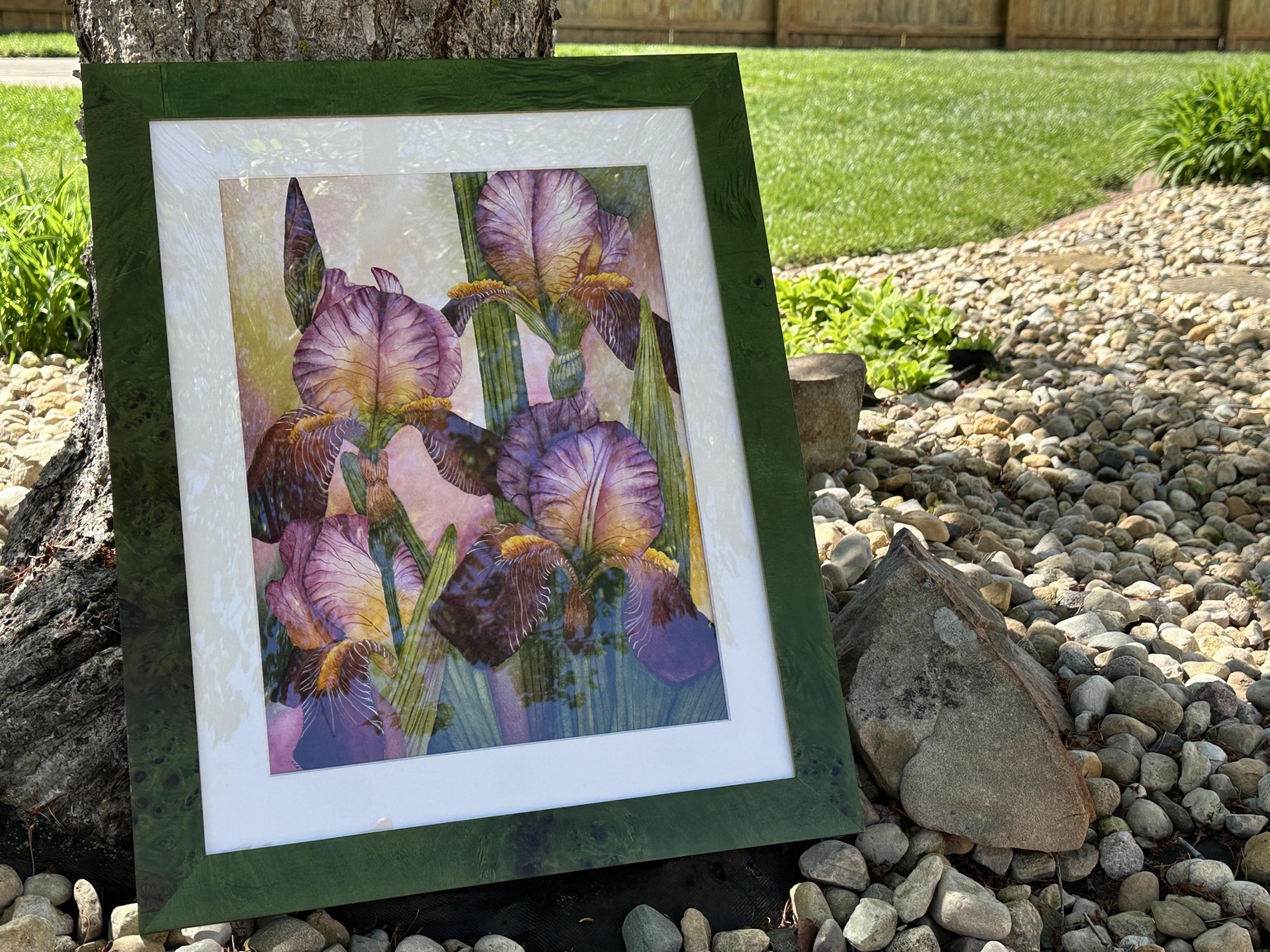 Bearded Irises - image 3 - student project