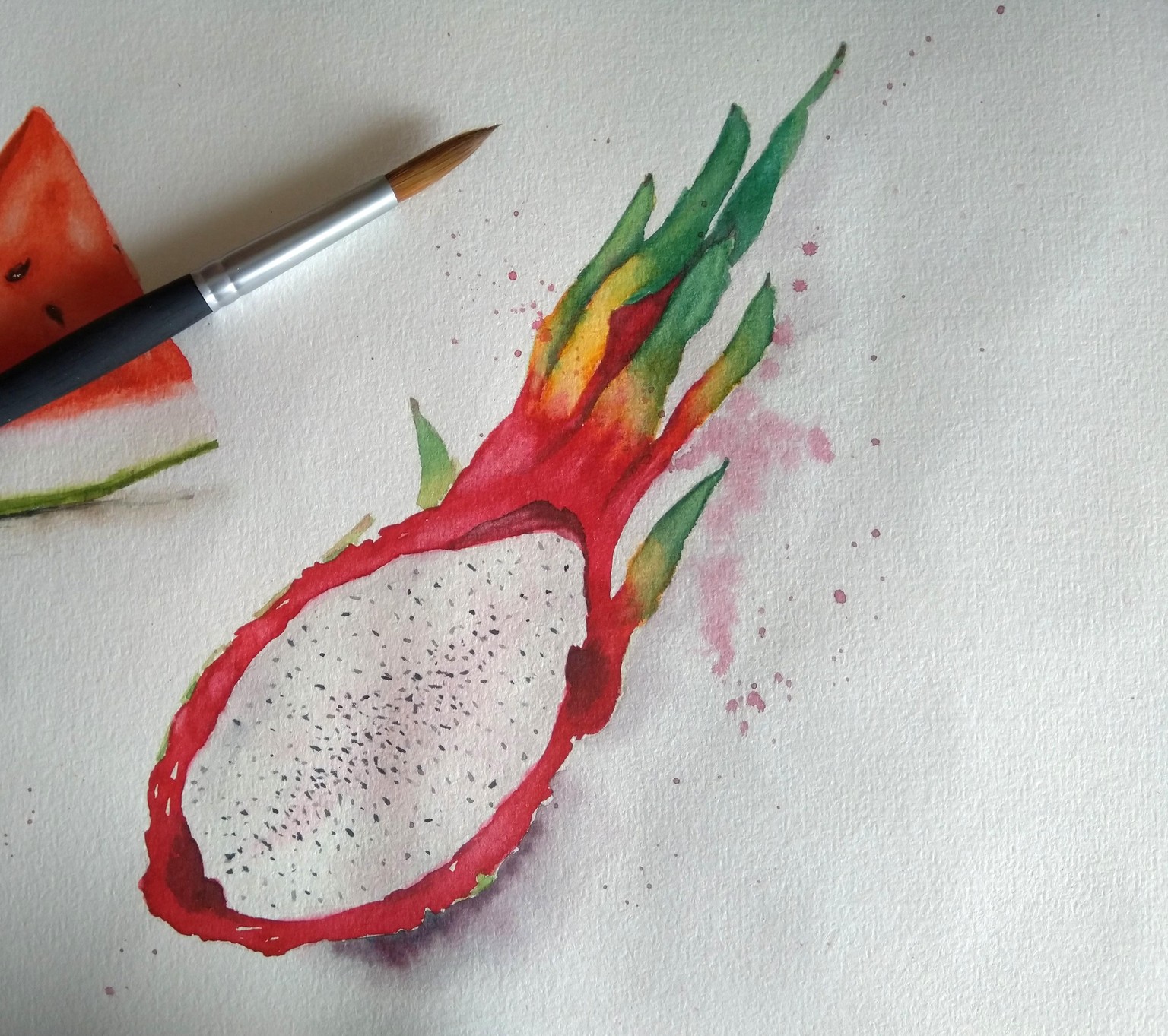 Watercolour Dragonfruit - image 1 - student project