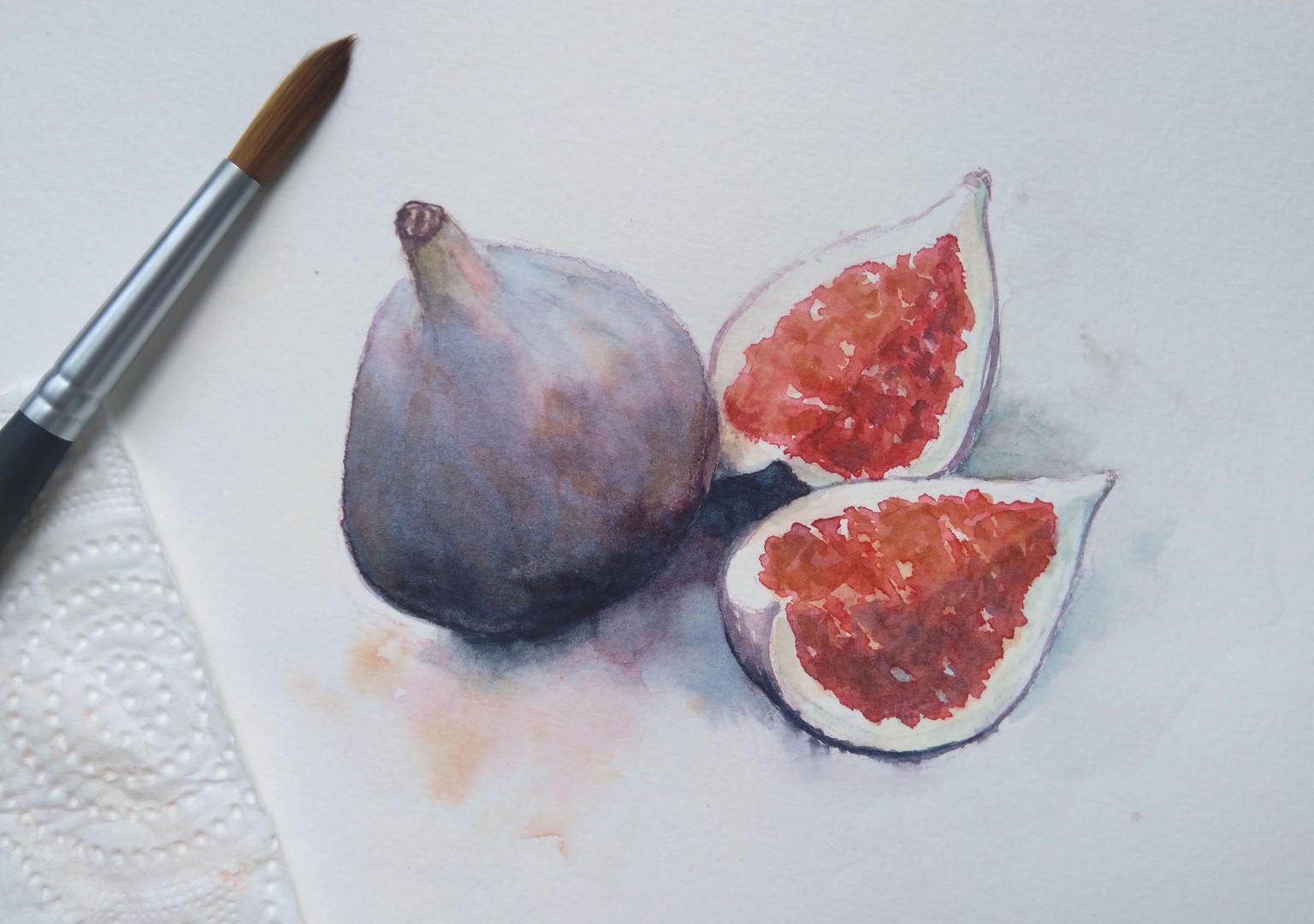 Watercolour Figs - image 1 - student project