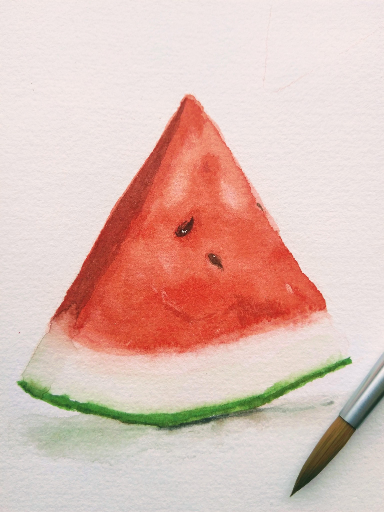 Watercolour Watermelon - image 1 - student project