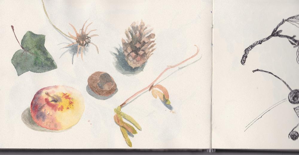Nature in Winter - image 1 - student project