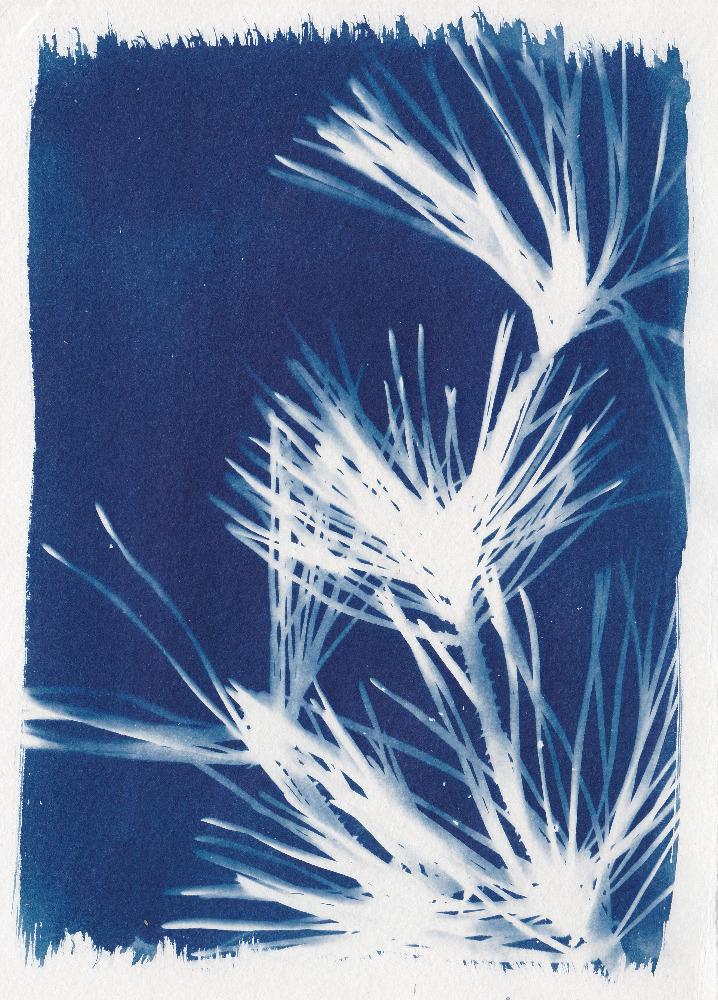 Found in the garden - image 3 - student project