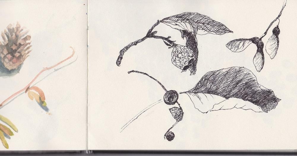 Nature in Winter - image 2 - student project
