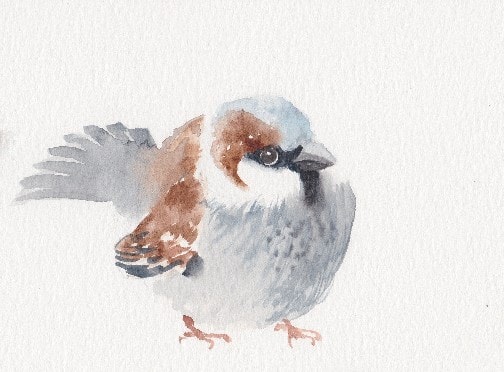 Nature in Winter - image 3 - student project