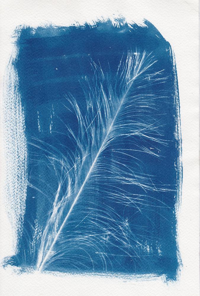 Found in the garden - image 4 - student project