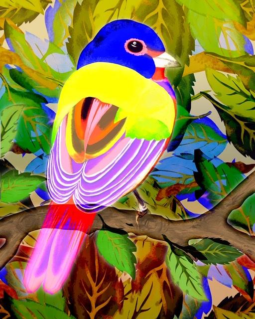Colorful bird (fur-/+) - image 2 - student project
