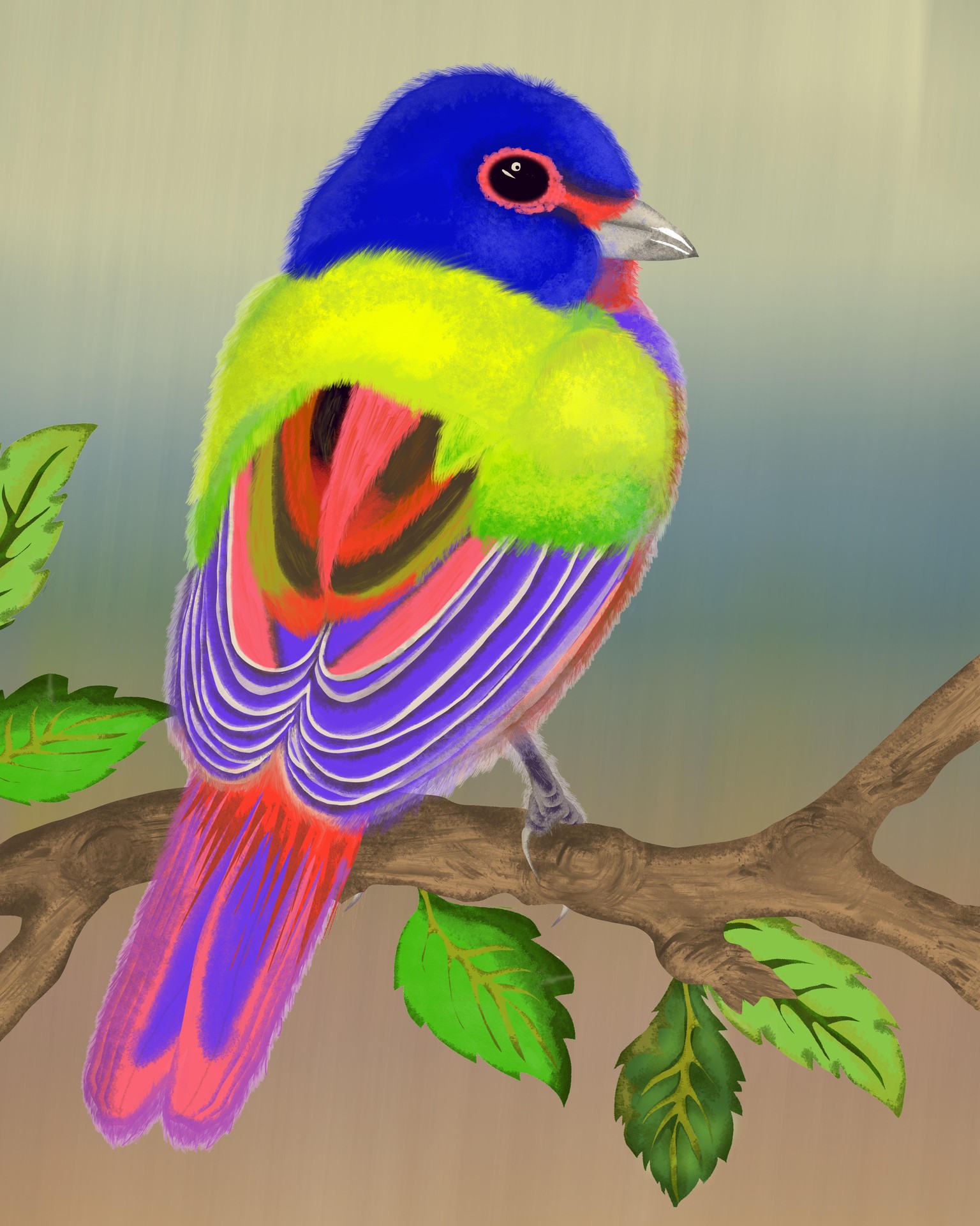 Colorful bird (fur-/+) - image 3 - student project