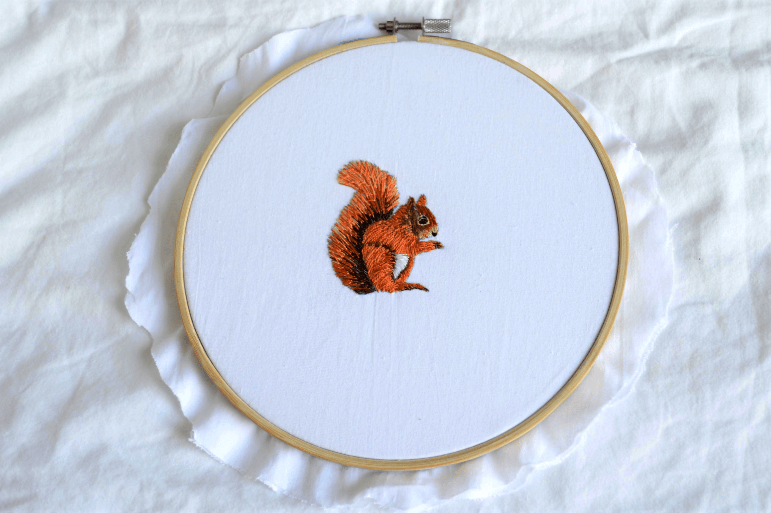Squirrel - image 1 - student project