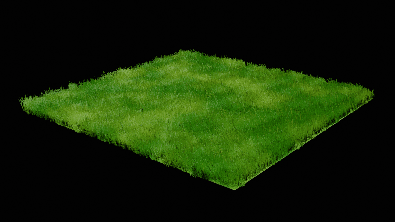 grass - image 1 - student project