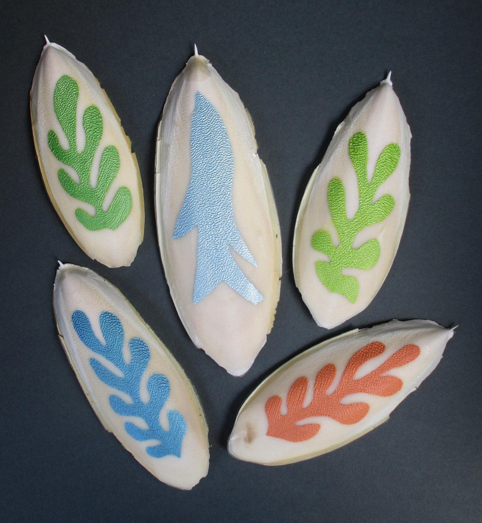 Seaweed & Fish - image 2 - student project