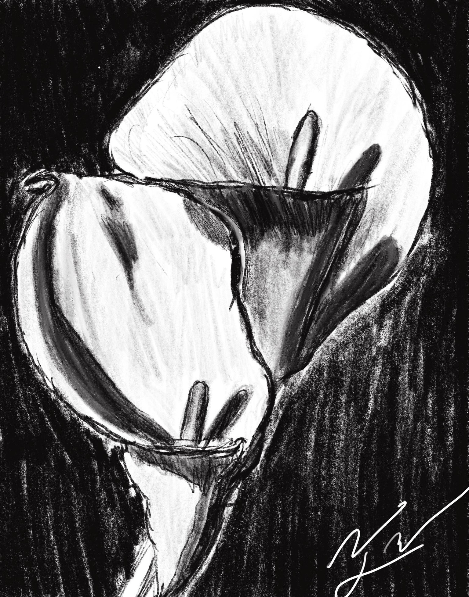 Flower Sketch - image 1 - student project