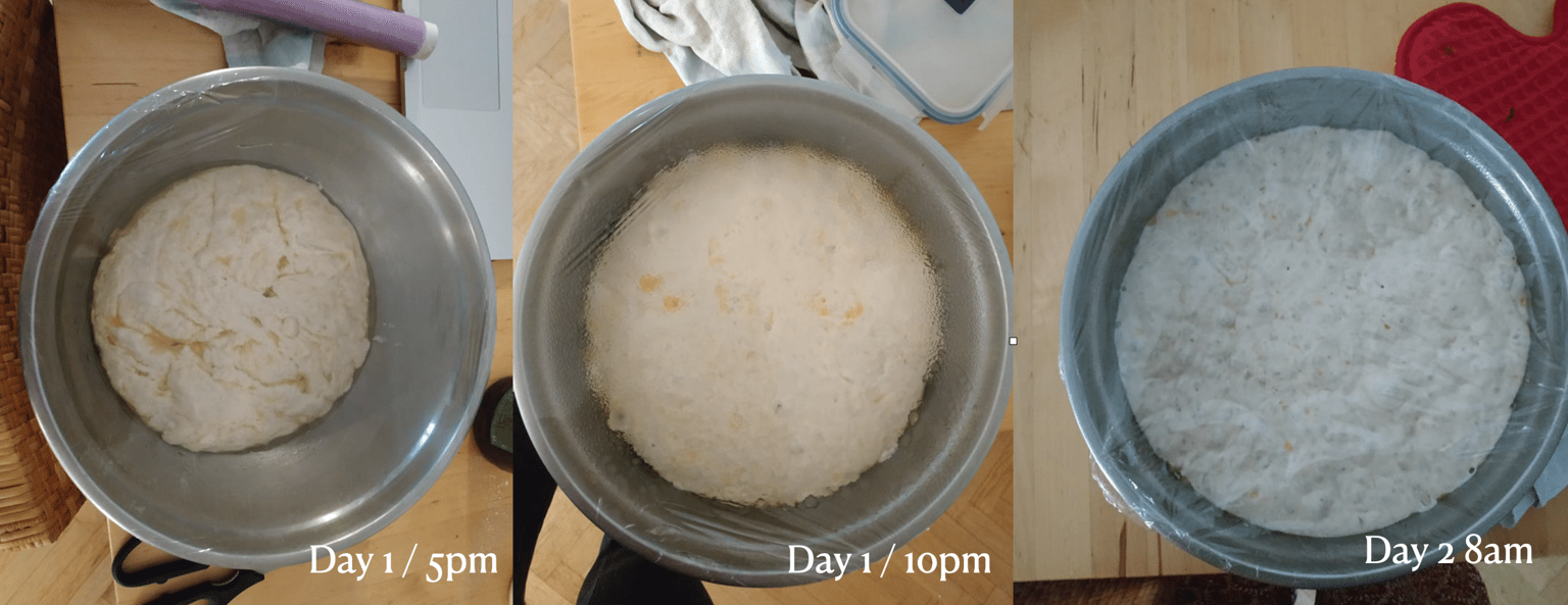 My first focaccia ! - image 1 - student project
