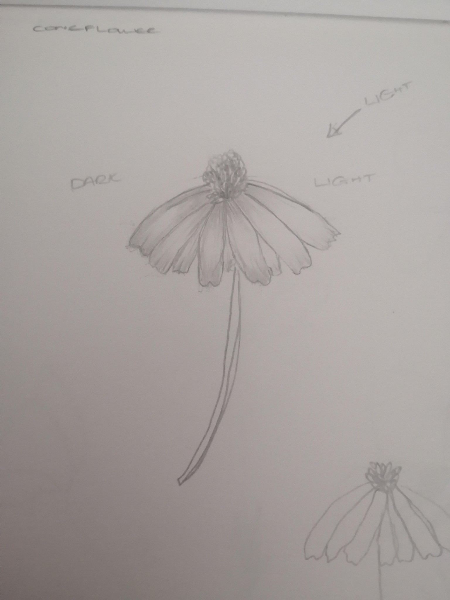 flower - image 1 - student project