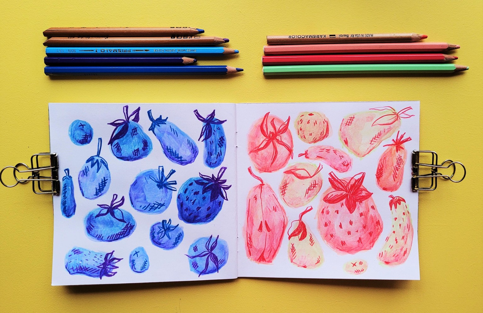 Fruits in Red & Blue - image 1 - student project