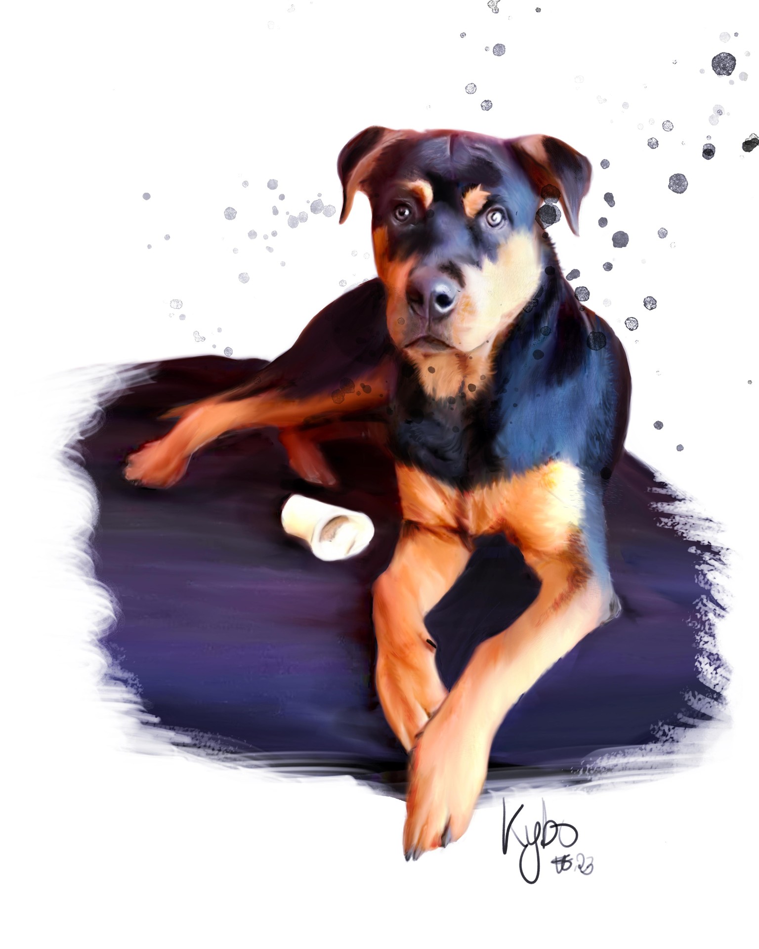 Creating pet illustriations from photographs - image 2 - student project
