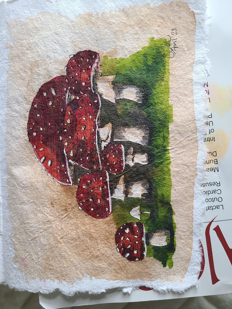 Attempted Mushroom Shading - image 1 - student project